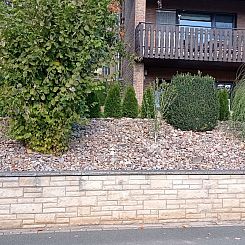 Appartement Apartment mit Hund