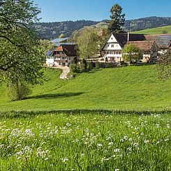 Huisje in Oberharmersbach