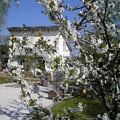 Appartement Moderne Erdgeschoss-Wohnung mit Terrasse
