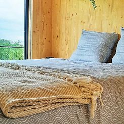 Huisje in Moerzeke (Hamme)