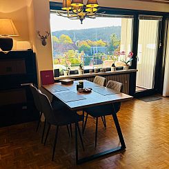 Appartement Wohnung in Bad Harzburg mit Garten