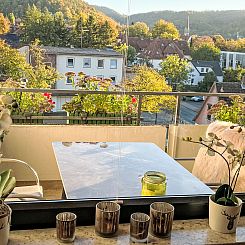 Appartement Fewo Harzblick