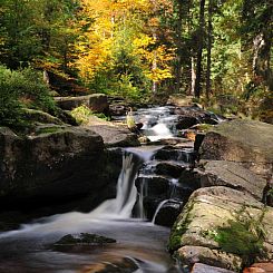 Vakantiehuis Blockhaus Bodefall