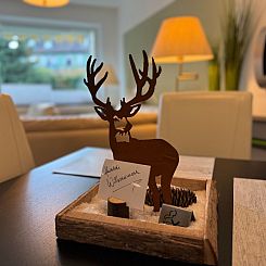 Appartement Ferienwohnung mit Infrarotwärmekabine