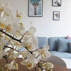 Appartement Schöne Moderne Ferienwohnung für 2-4 Personen 