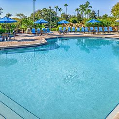 Polynesian Isles Resort By Diamond Resorts - Newly Renovated