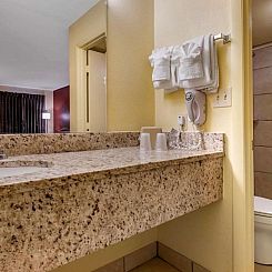 Econo Lodge Inn & Suites Maingate Central