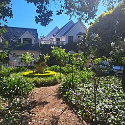 5th Avenue Gooseberry Guest House