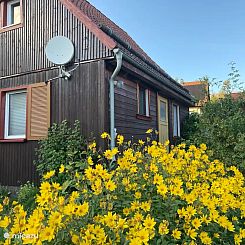 Zur Linde - Huis Wedde