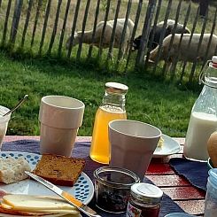 Vakantiehuisje in Brakel