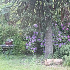 Vakantiehuis in Stollhamm mit Großem Garten