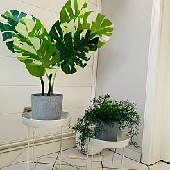 Appartement Diekbude