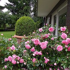 Appartement Haus Eicihhölzchen