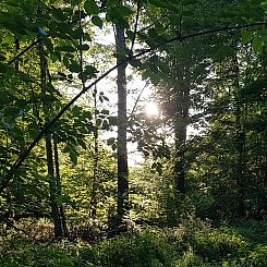 Vakantiehuisje in Mücke