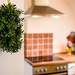 Appartement Gemütliche Wohnung in Bracht mit Garten