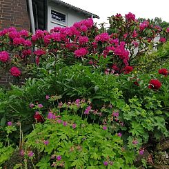 Huisje in Niedenstein