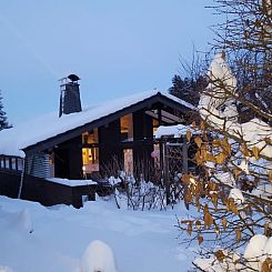 Vakantiehuis Amselnest