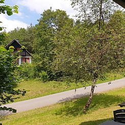 Vakantiehuisje in Frankenau