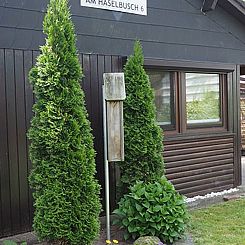 Vakantiehuis in Wettringen