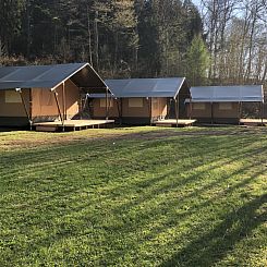 Safaritent + privé sanitair