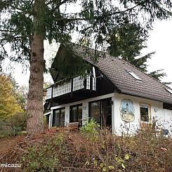 Ekkie's Ecke