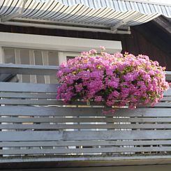 Appartement Wohnung in Heringhausen mit Grill