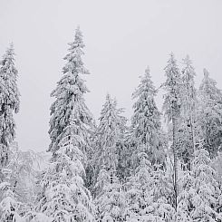 Vakantiehuis in Küstelberg / Winterberg