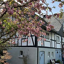 Appartement Fachwerkliebe