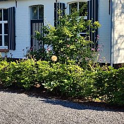 Huisje in Gavere Dikkelvenne