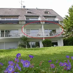 Appartement Warstein