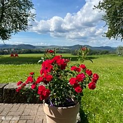 Wiesenweg