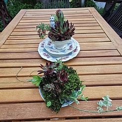Appartement Wohnung in Bad Gottleuba