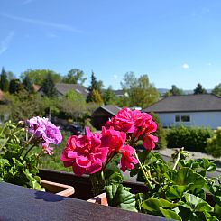 Appartement Tolle Wohnung in Hilders mit Eigenem Balkon
