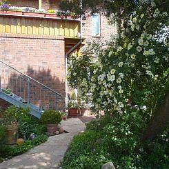 Appartement Charmante Wohnung in Dassow mit Terrasse und Gri