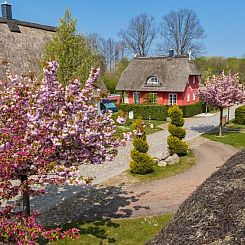Vakantiehuis in Groß Schwansee mit Offenem Kamin