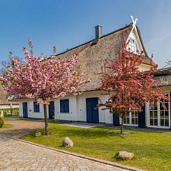 Vakantiehuis Villa DUXCAAR