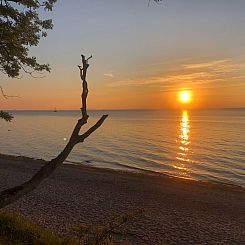 Vakantiehuis 5* Wellness Oase