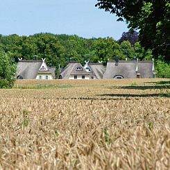 Vakantiehuis 5* Wellness Oase