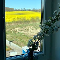 Vakantiehuis Reethus Linda am Schloß Groß Schwansee