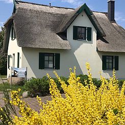 Vakantiehuis Reethaus Vera am Meer mit Sauna und Kamin