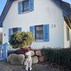 Vakantiehuis Reethaus Michel