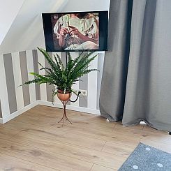 Appartement Stuv Mariken in Warnemünde