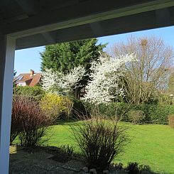 Appartement Erdgeschosswohnung im Haus "Silva Mare"