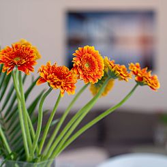 Appartement Stolzenfels