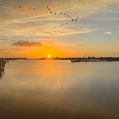 Vakantiehuis Schleivilla Kapitän James Cook2,  Löwen Dart 