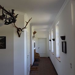 Appartement Hochwertige Ferienwohnung in Gingst