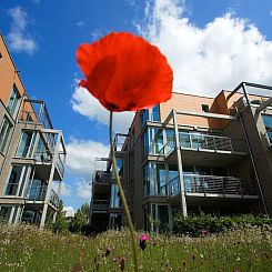 Appartement in Alt Travemünde