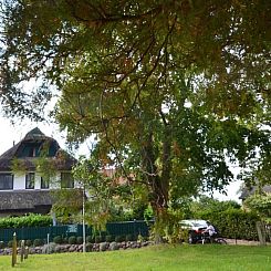 Vakantiehuis Haus Strandhafer