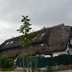 Vakantiehuis Haus Strandhafer