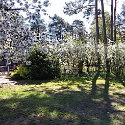 Vakantiehuis mit Terrasse mitten im Grünen